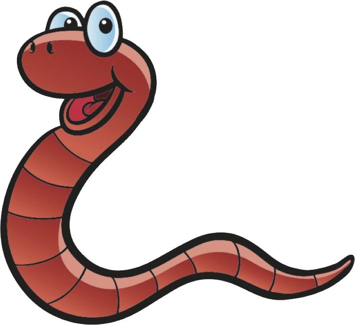 earthworm worm PNG    图片编号:50787
