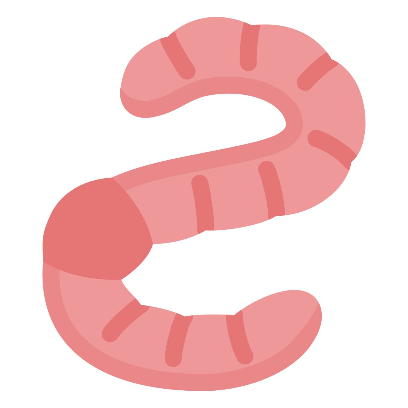 earthworm worm PNG    图片编号:50815