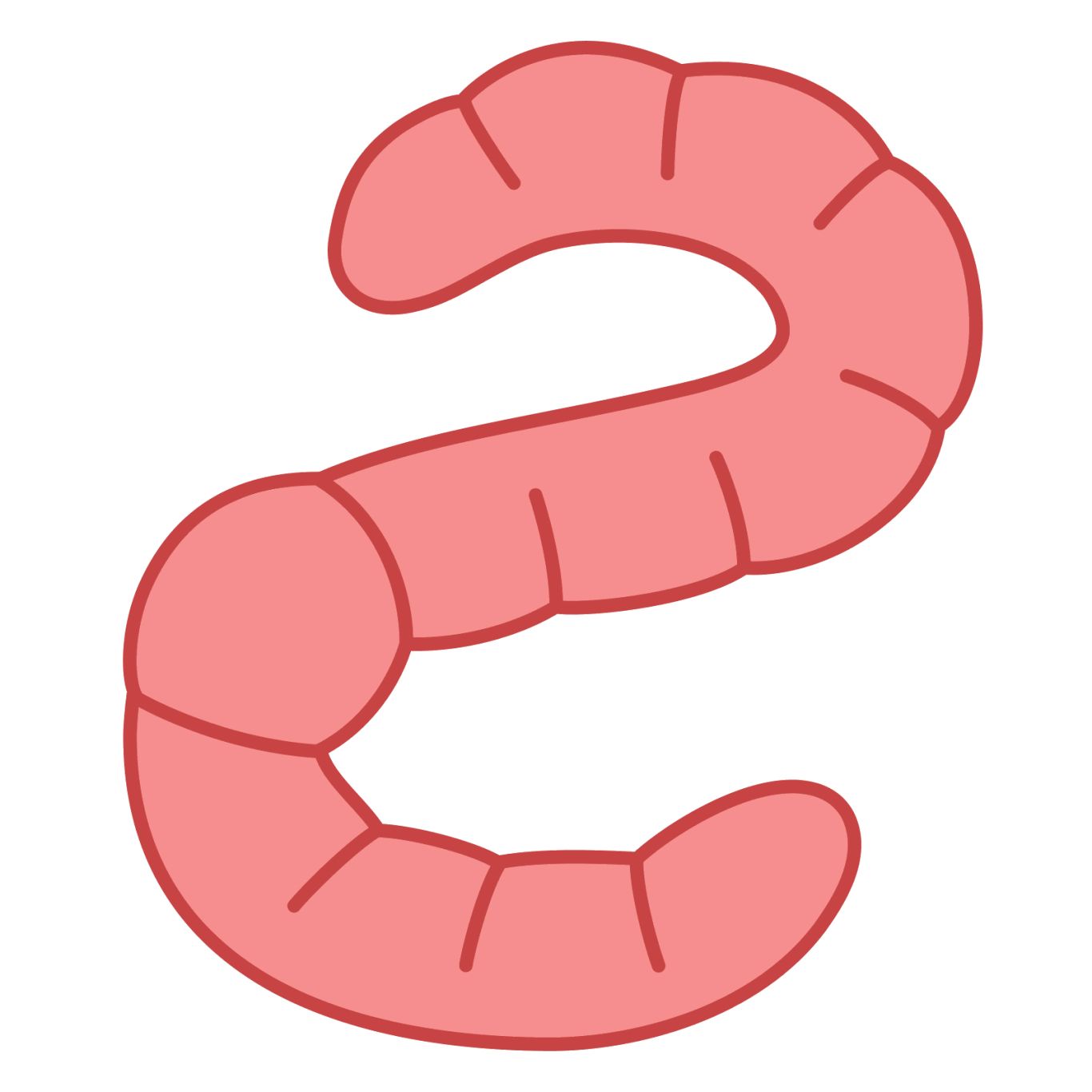 earthworm worm PNG    图片编号:50816