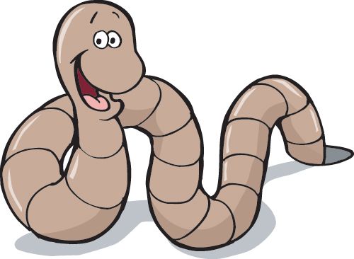 earthworm worm PNG    图片编号:50817