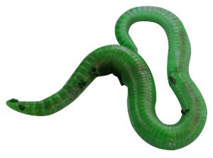 earthworm worm PNG    图片编号:50821