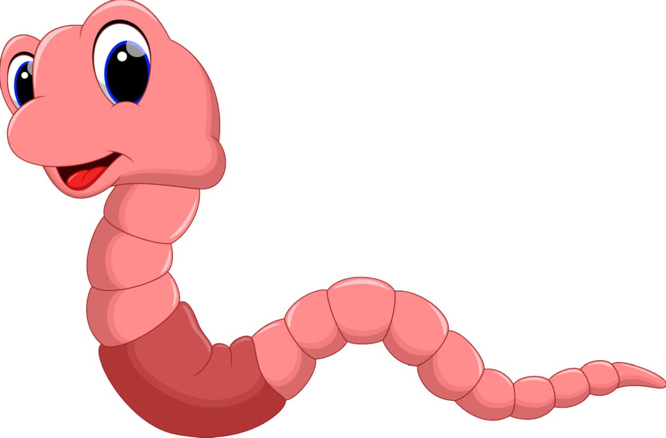 earthworm worm PNG    图片编号:50792