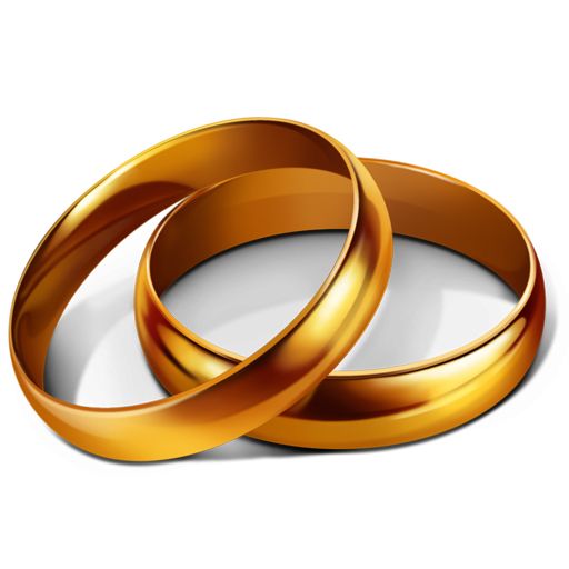 Wedding golden rings PNG image    图片编号:6727