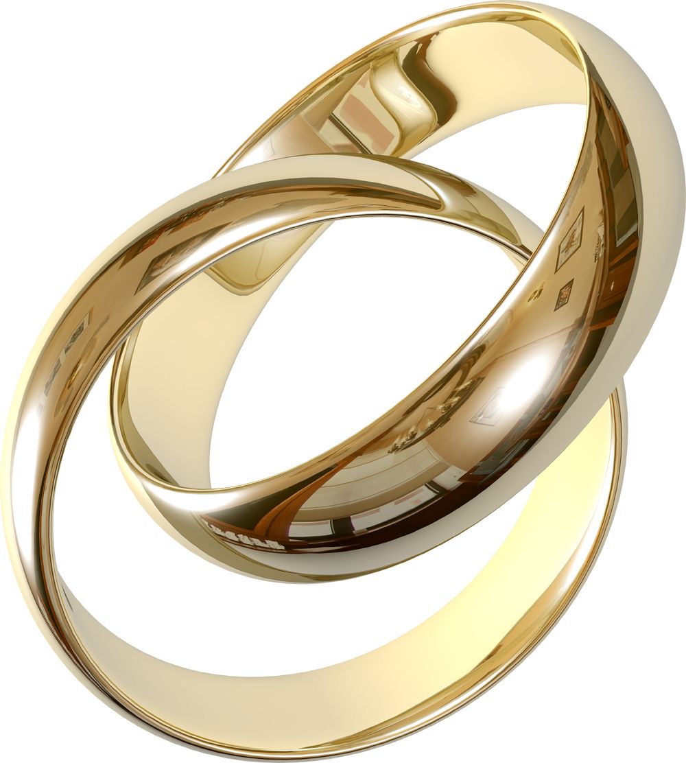 Wedding golden rings PNG image    图片编号:6801