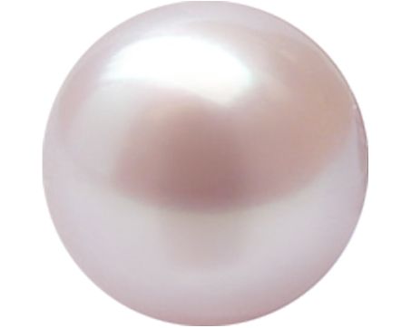 Pearls PNG    图片编号:22230