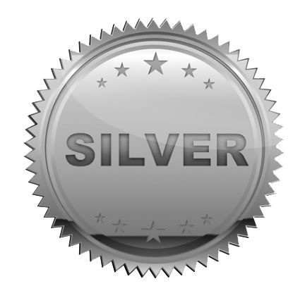 Silver PNG    图片编号:17190