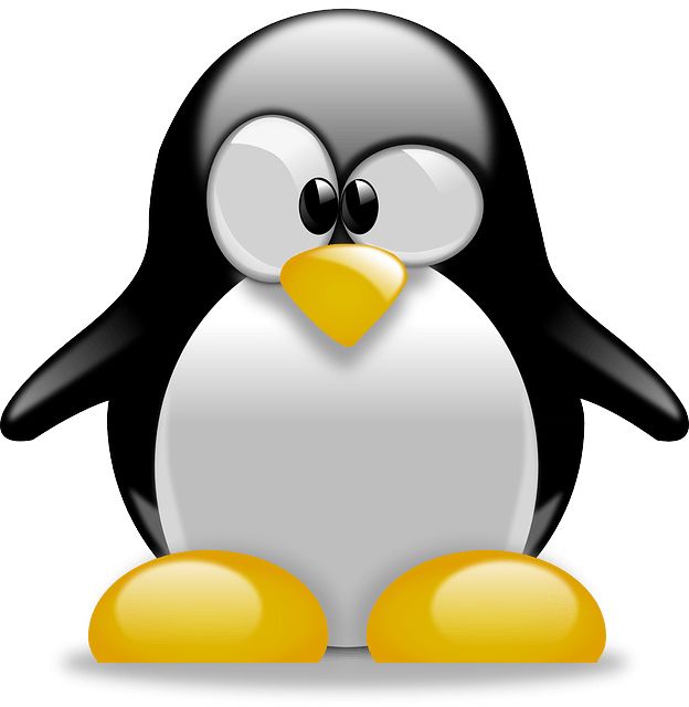 Linux logo PNG    图片编号:27021