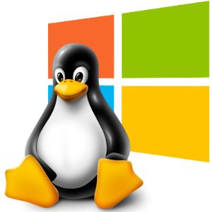 Linux logo PNG    图片编号:27032