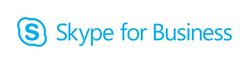 Skype logo PNG    图片编号:20316
