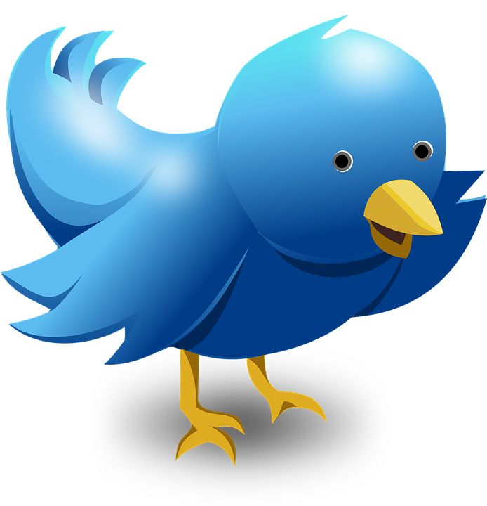 Twitter logo PNG    图片编号:26962