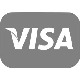 Visa PNG    图片编号:20572