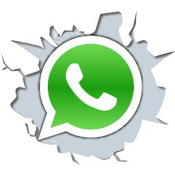 Whatsapp logo PNG    图片编号:20362