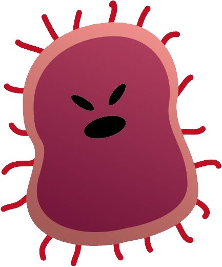 Bacteria PNG    图片编号:43390