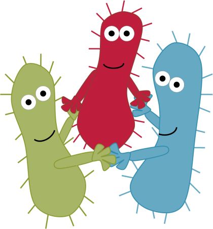 Bacteria PNG    图片编号:43395