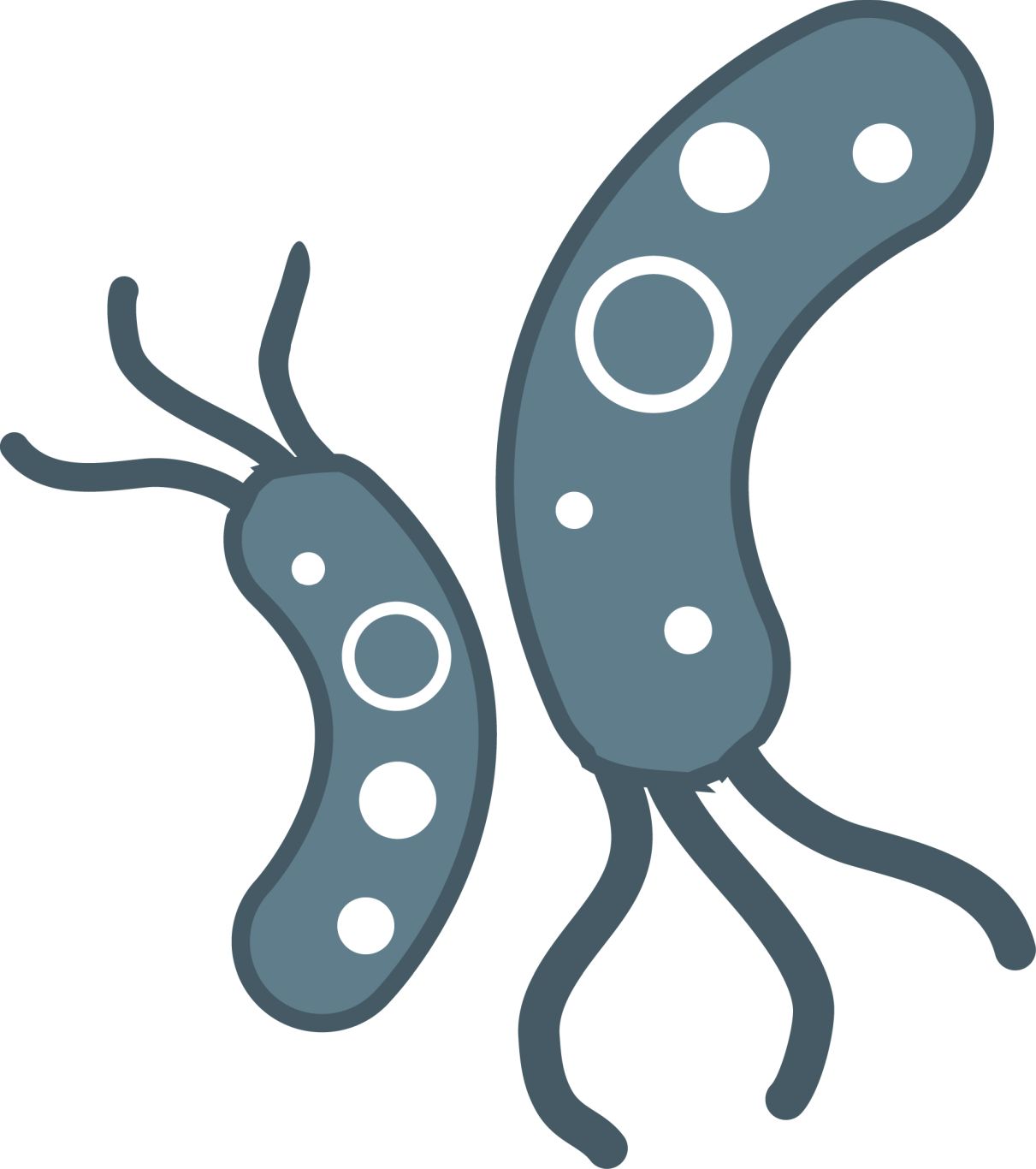 Bacteria PNG    图片编号:43396