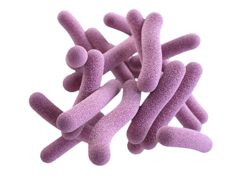 Bacteria PNG    图片编号:43364