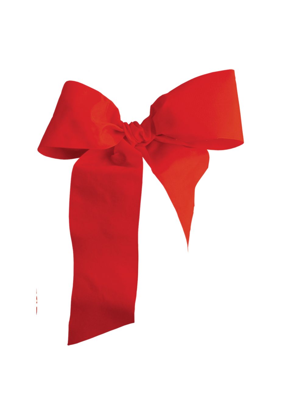 red ribbon bow PNG    图片编号:100636