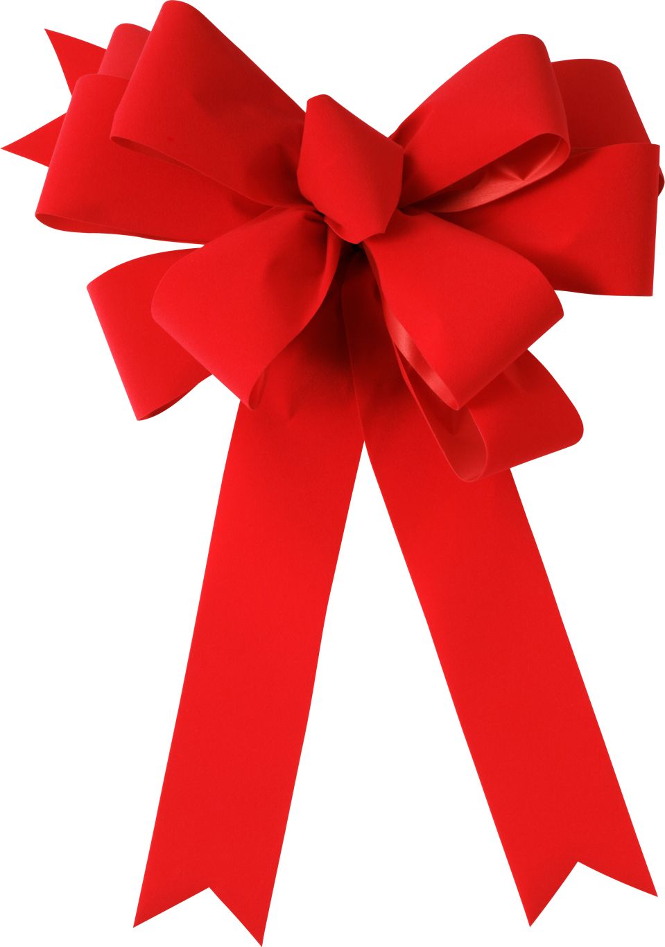 red ribbon bow PNG    图片编号:100687