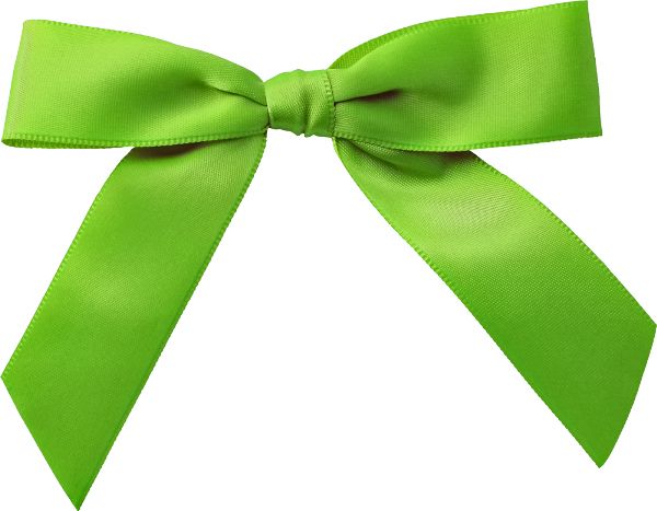 Green bow PNG image    图片编号:10089