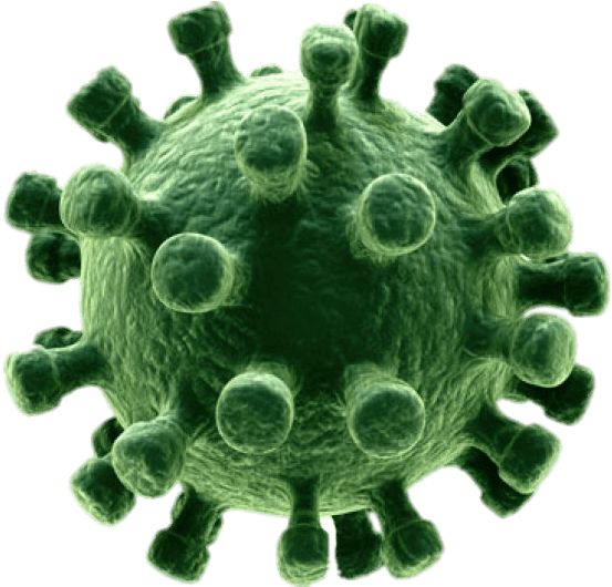Coronavirus PNG    图片编号:92529