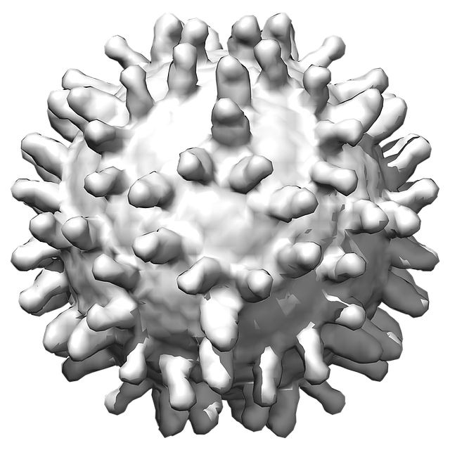 Coronavirus PNG    图片编号:92555