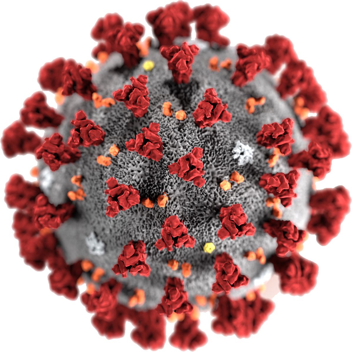 Coronavirus PNG    图片编号:92558
