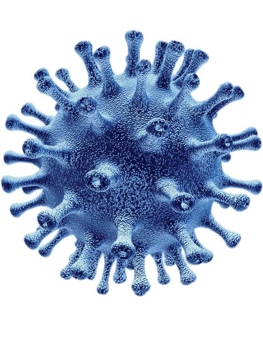Coronavirus PNG    图片编号:92521