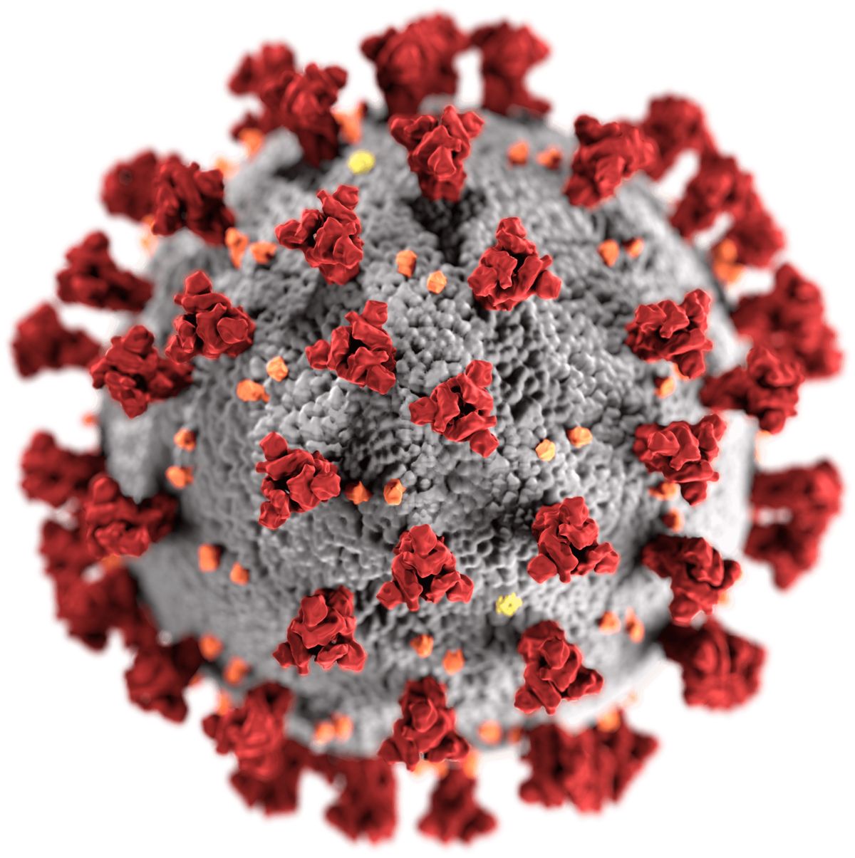 Coronavirus PNG    图片编号:93658