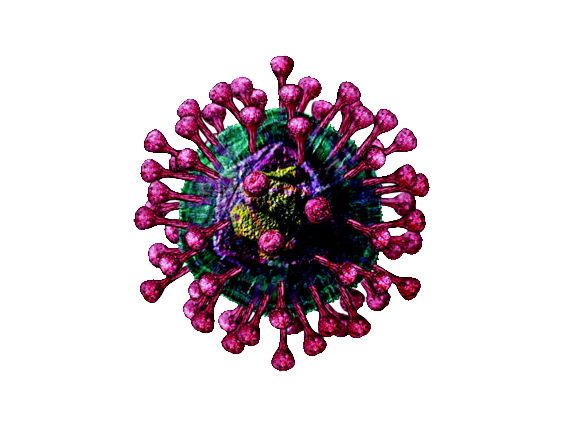 Coronavirus PNG    图片编号:93666