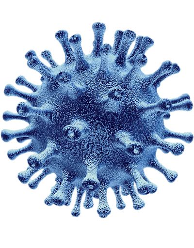 Coronavirus PNG    图片编号:93684