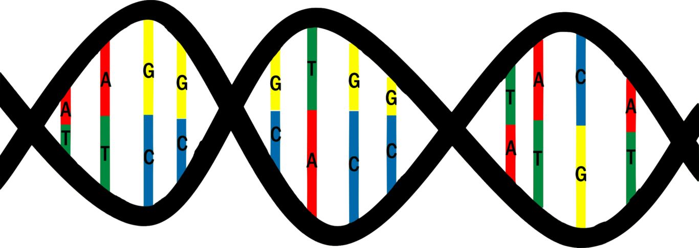 DNA PNG    图片编号:100724