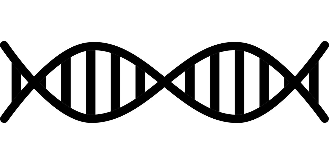 DNA PNG    图片编号:100729