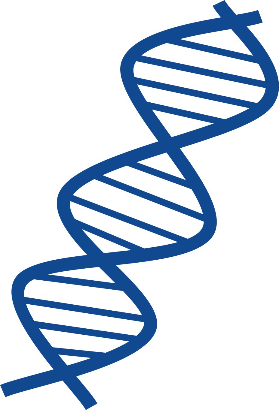 DNA PNG    图片编号:48551