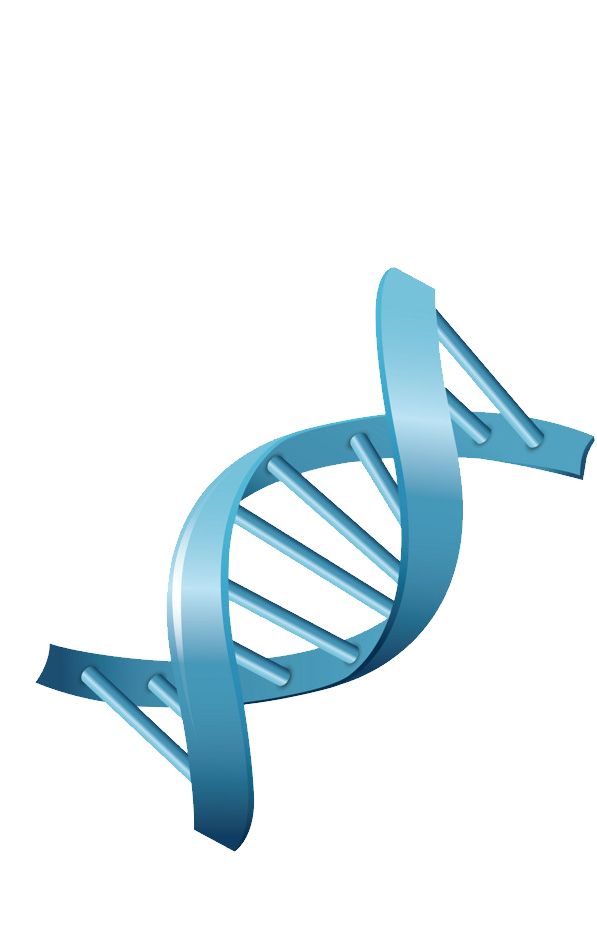 DNA PNG    图片编号:48552