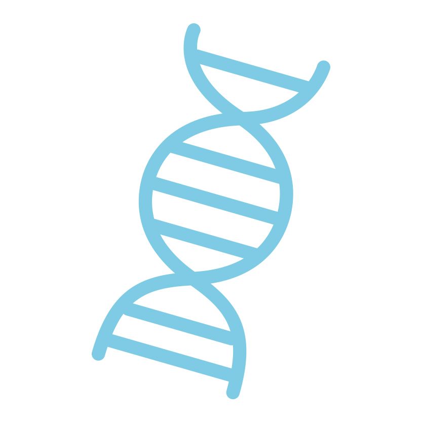 DNA PNG    图片编号:48568