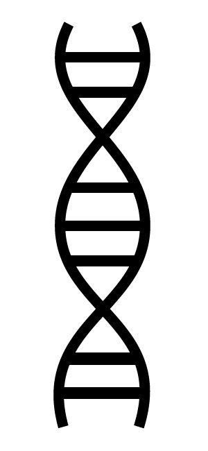 DNA PNG    图片编号:48571