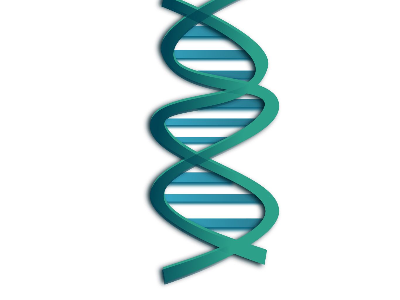DNA PNG    图片编号:48572