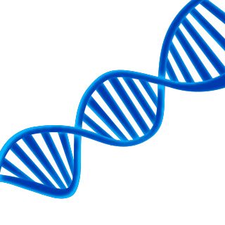 DNA PNG    图片编号:48575
