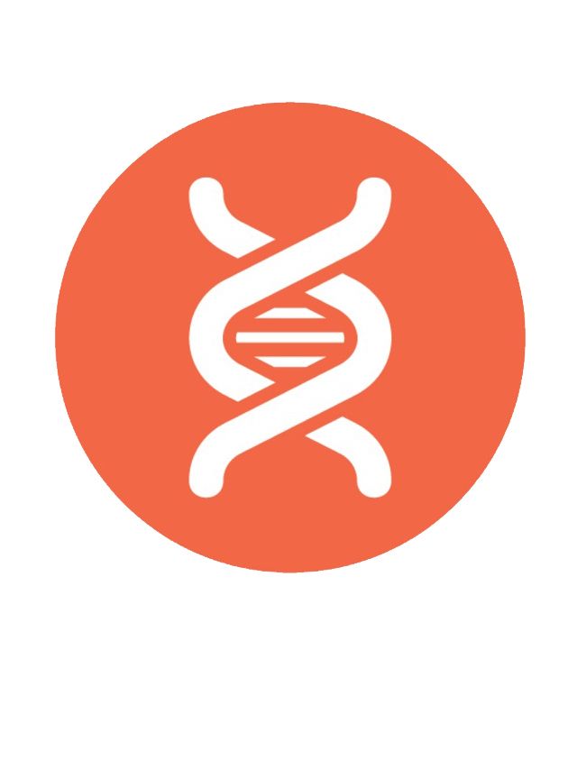 DNA PNG    图片编号:48540