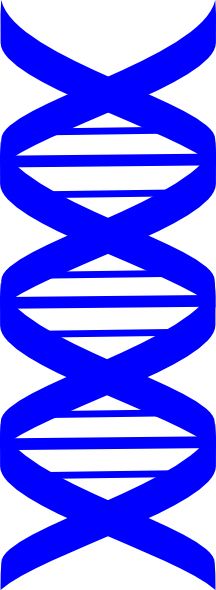DNA PNG    图片编号:48581