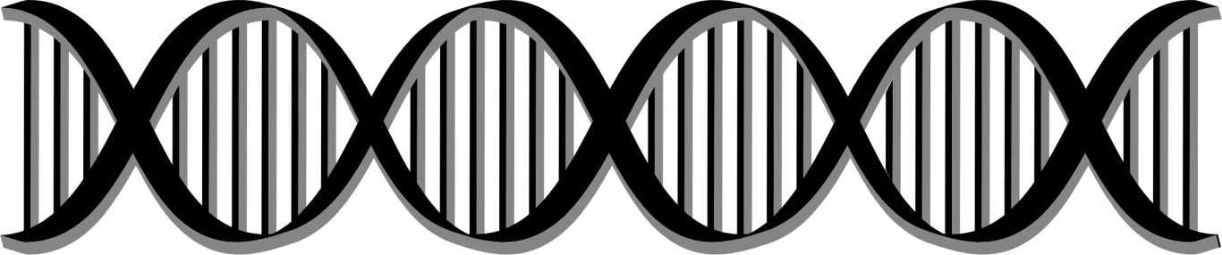 DNA PNG    图片编号:48586