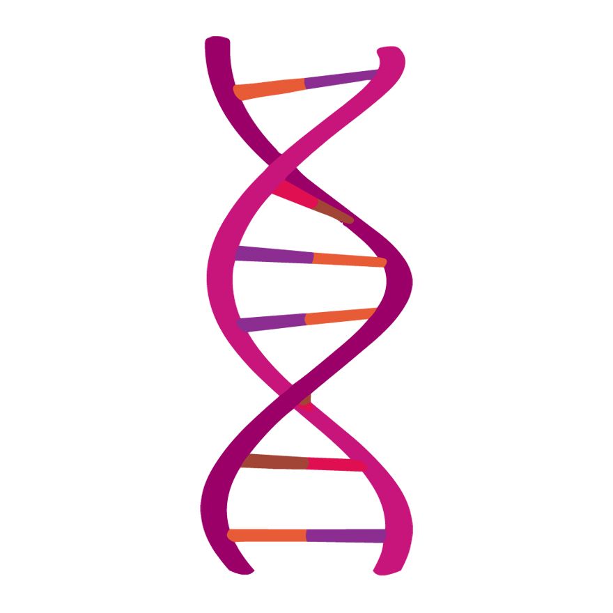 DNA PNG    图片编号:48605