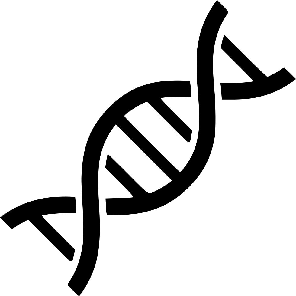 DNA PNG    图片编号:48609