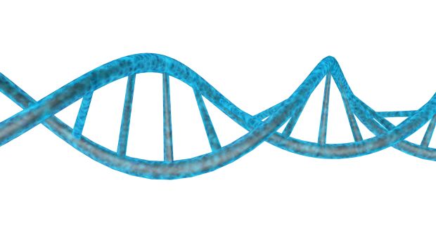 DNA PNG    图片编号:48612