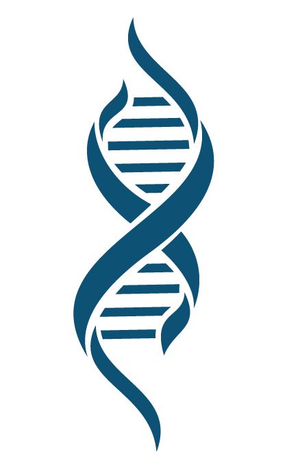 DNA PNG    图片编号:48614
