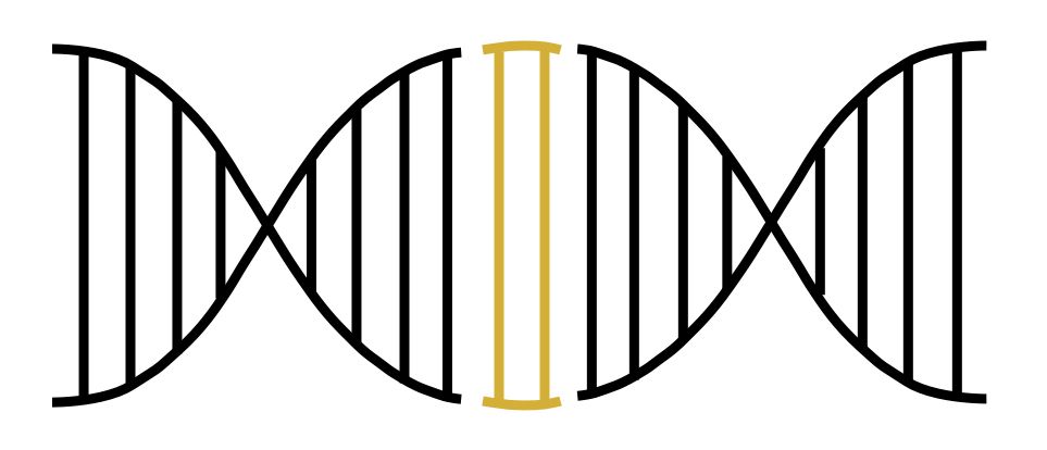 DNA PNG    图片编号:48620