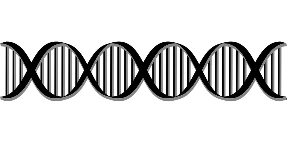 DNA PNG    图片编号:48622