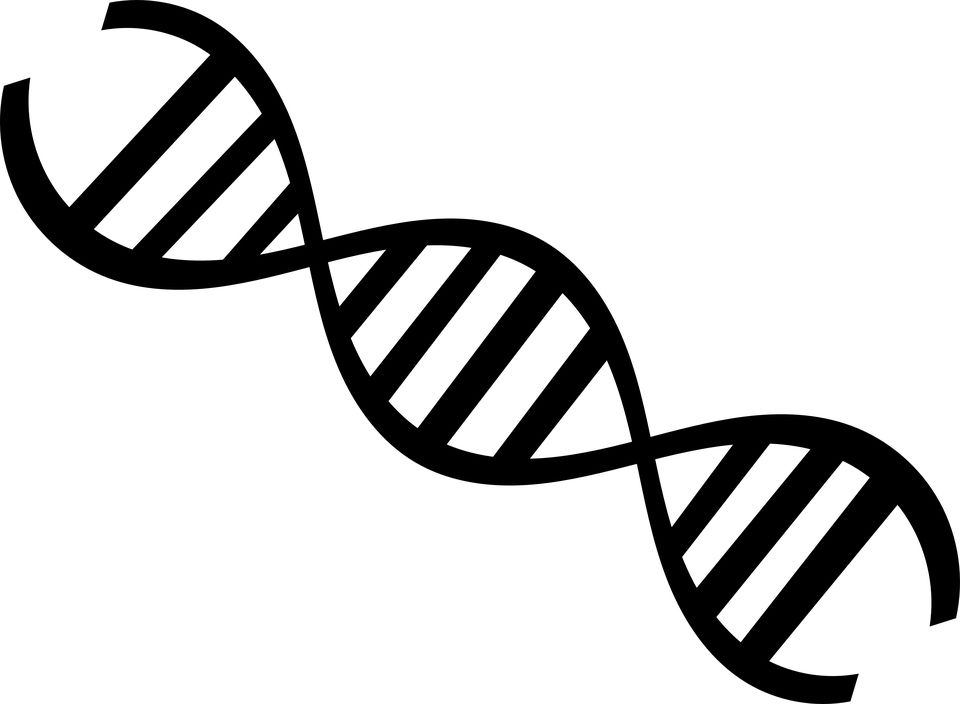 DNA PNG    图片编号:48623