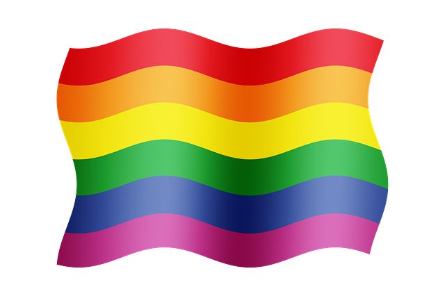 LGBT flag PNG    图片编号:14670