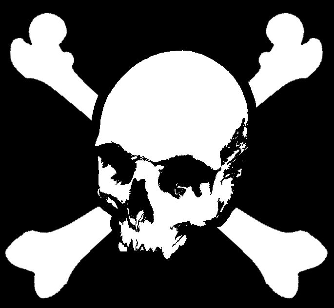 Pirate flag PNG    图片编号:14702